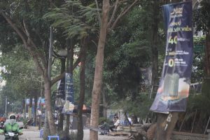 Tờ rơi, biển quảng cáo nham nhở khắp nơi ở Hà Nội. Ảnh: Hữu Chánh